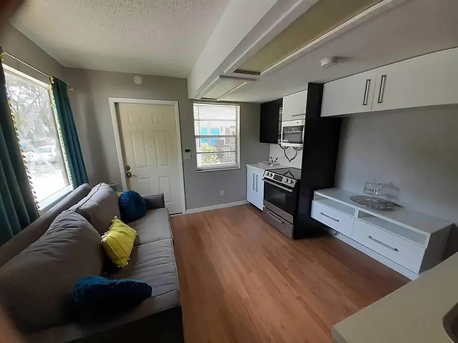 The Oshun Suite - Exclusive Gated Pool Community Near Usf And Busch Gardens Tampa Lejlighed